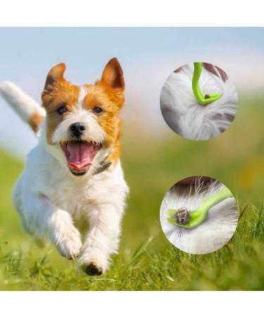 BHOW MEOW Tick Remover Tools 2PCS Set - Ideal for Dogs, Cats, Horses, and Humans - Long 3XL Size with Perfect Grip - Buy Online on SooperMarket.com