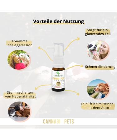 Global Natureon Cannabi Pets Oil 500mg - Natural Salmon Oil Drops for Dogs & Cats | Stress Relief Fear & Travel Aid | 30ml Preservative-Free - Buy Online on SooperMarket.com