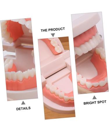 Shop Healvian 3 Sets Early Dental Education Toys - Wooden Denture Model for Kids | Reusable Toiletries - Buy Online on SooperMarket.com