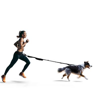 FITLY Dog Running Waist Belt - Running Dog Lead - Canicross Harness Carry Personal Items Running Walks Hikes - Waist Leads For Dogs with Belt Pouch Converts into Canicrossing Line Blue