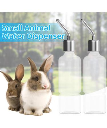 JVHLOV Rodent Water Bottle Hamster Water Bottle Hanging Rodent Drinker No Drips for Small Animal Squirrel Rabbit Chinchilla Guinea Pig Hamster Golden Bear (Clear 180ml*2) - Buy Online on SooperMarket.com