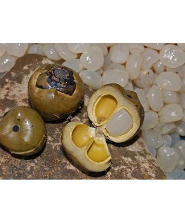 Indonesian Organic Ground Arenga Pinnata Sugar 100g/ Gula Semut Aren The Taste of Traditional Sweetener- Halal - Buy Online on SooperMarket.com