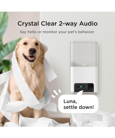 Petcube Bites 2 Lite - Interactive WiFi Pet Camera & Treat Dispenser with Sound Alerts - Buy Online on SooperMarket.com