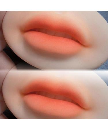 3D Silicone Lip Practice Skin - Fake Piercing Lip Model for Makeup Training | International Shipping Available - Buy Online on SooperMarket.com