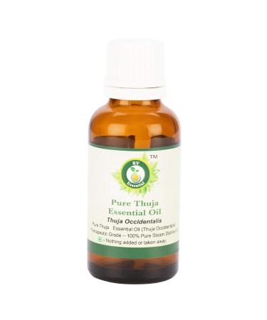 R V Essential Pure Thuja Essential Oil 5ml (0.169oz)- Thuja Occidentalis (100% Pure and Natural Steam Distilled) 5 ml (Pack of 1)