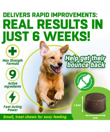 Dog Joint Care Supplements | 150 Chews with Green Lipped Mussel, Glucosamine & Chondroitin | Hemp Oil, MSM, Hyaluronic Acid, Manganese & Vitamins | Aids Stiff Joints | 1 Pot (150 Chews) - Buy Online on SooperMarket.com