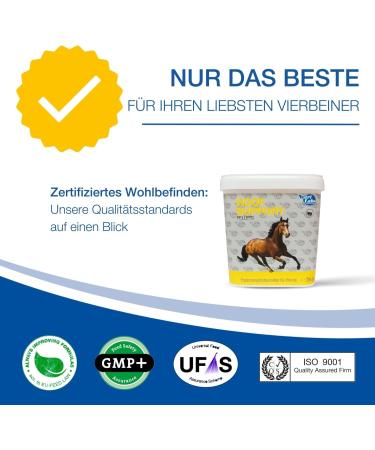Nutrilabs Hoof Support Pellets 3 KG - Premium Dietary Supplement for Horse Hoof Care with Biotin & MSM | Enhance Equine Health - Buy Online on SooperMarket.com