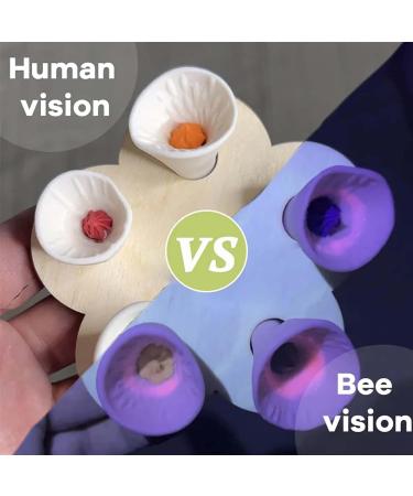 Colorful Bee Insect Drinking Cup Bee Insect Drinking Cup Thirsty Pollinators Need a Drink Bee Cups for Thirsty Bees Garden Bees Need Safe Places to Drink for Garden Decor (Yellow  - Buy Online on SooperMarket.com