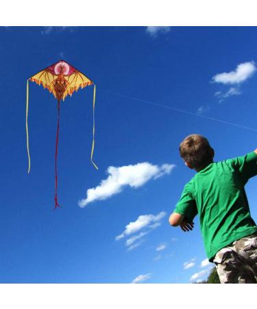 Dragon Kite for Kids and Adults - Easy-to-Fly Delta Beach Kite with 300ft String - Fiery Colors - Buy Online on SooperMarket.com