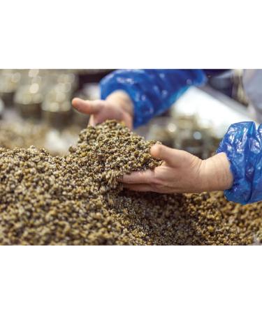 Alma Gourmet Sicilian Capers in Sea Salt Imported from Italy |1.1 Pound (500g) - Buy Online on SooperMarket.com