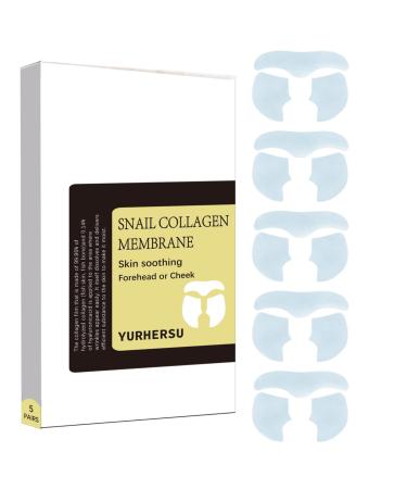 Forehead Wrinkle Patches Snail Collagen Mask Anti Wrinkle Patches For Fine Wrinkles Between Eyes & Face Snail Wrinkle Patches With Hydrolyzed Collagen Anti Wrinkle Collagen Film For Face 5Pairs