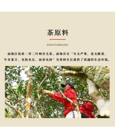 Pu-erh tea 2020 Keyixing Take a bite 357g Cooked - Buy Online on SooperMarket.com