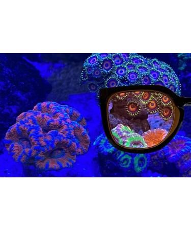 Aqua Medic Coral Glasses - Enhance Your Reef Experience | International Shipping Available - Buy Online on SooperMarket.com