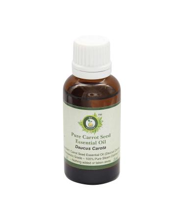 R V Essential Pur Carotte Huile Essentielle 50ml (1.69oz) - Daucus Carota (100% Pur et naturelle Distill e vapeur) Carrot Seed Essential Oil