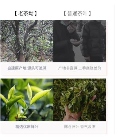 Pu-erh tea 2016 Time knows the taste Nahan 357g Raw - Buy Online on SooperMarket.com