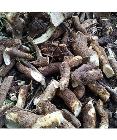 CROV Xetomos Pushkarmool Inula racemosa 250g Other Names are Pushkarmool pushkarmool Orris Root inula racemosa Pokharmool Puskara mula Pohakarmul Puskar Pushkaramoola