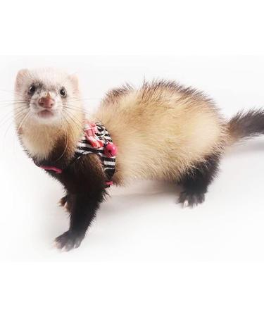 CHIPKART Small Pet Harness with Bowknot and Bell Decor No Pulling Comfort Vest Guinea Pig Harness and Leash Set for Ferret Rats Iguana Hamster(Black) - Buy Online on SooperMarket.com