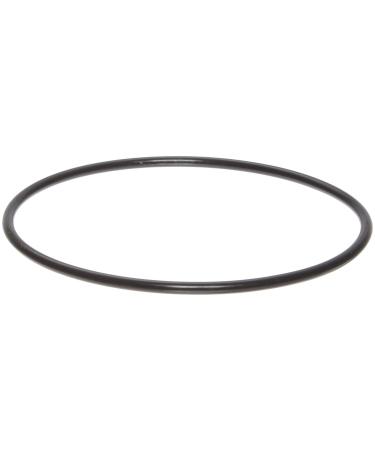 Pentek 151122 OR-100 Buna-N O-ring for Big Blue Housings