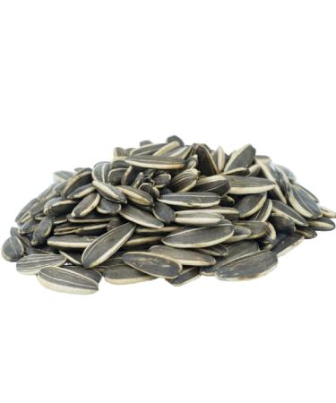 GERBS Jumbo Raw Whole Sunflower Seeds, 32 ounce Bag, Unsalted, Top 14 Food Allergen Free, Non GMO, Vegan, Keto, Paleo Friendly Jumbo Raw 2 Pound (Pack of 1)