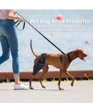 Pet Dog Injury Knee Brace Leg Inflammation Pain Alleviate Leg Support Sheaths for Dogs Outdoor Walking Accessories - Buy Online on SooperMarket.com