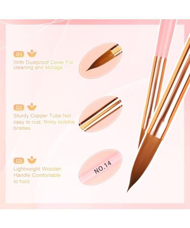 LEDSUUEI Kolinsky Acrylic Nail Brush Set - Size 8/10/14 - High Quality Durable Brushes for Beginner Nail Art - Ideal for Acrylic Powder and Gel Nails - 3D Nail Art Tool - A-COLOR - Buy Online on SooperMarket.com