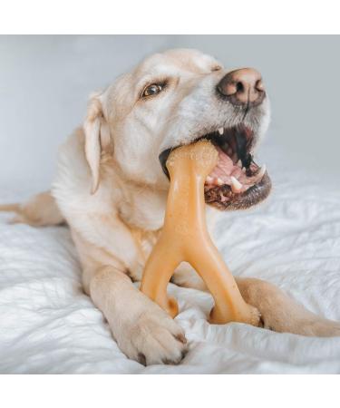 Benebone Wishbone Dog Chew Toy for Aggressive Chewers - Real Chicken Flavor | Large Size - International Shipping Available - Buy Online on SooperMarket.com