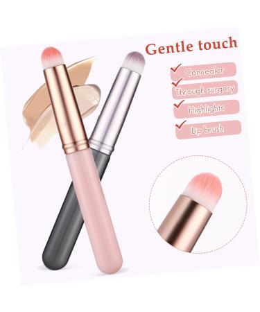 Buy NOLITOY 12 Pcs Lip Brush & Concealer Brush Set Professional Makeup Applicators with Caps for Perfect Lipstick Application International Shipping Available - Buy Online on SooperMarket.com