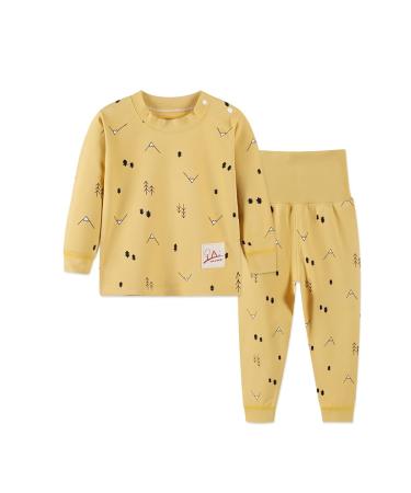 YANWANG 100% Cotton Baby Boys Girls Pajamas Set Long Sleeve Sleepwear(6M-5Years) 2-3 Years Yellow-tree