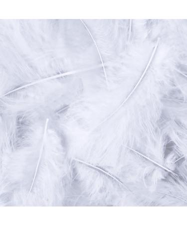 White Feathers for Crafts Dreamcatcher Fringe Trim Colored Feathers (100pcs White)