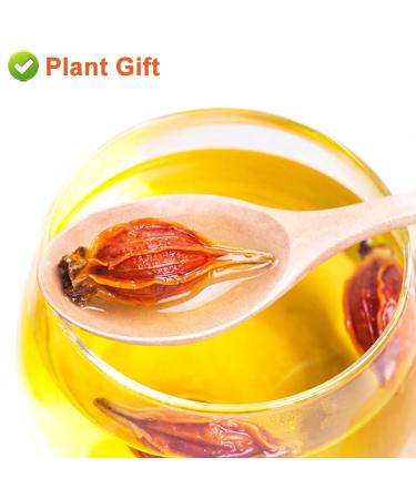 Buy Organic Gardenia Fruit Tea 80G | Chinese Herbal Tea - Jasmine Flavor - Natural Wellness - Buy Online on SooperMarket.com