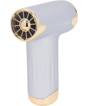Alomejor Mini Fan - Portable Bladeless Hair Dryer for Pets | 4 Wind Levels 1100mAh Battery - Ideal for Cats & Dogs (Silver - Buy Online on SooperMarket.com