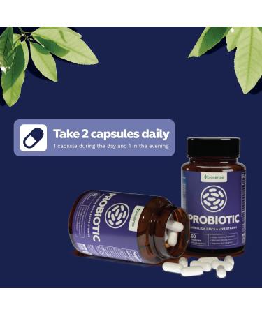 Colon Health Probiotic & Prebiotic Capsules for Digestive Support - Gut Health Supplement for Men & Women - Bloat Relief & Weight Loss - Daily Prebiotic Probiotic Pills - Buy Online on SooperMarket.com
