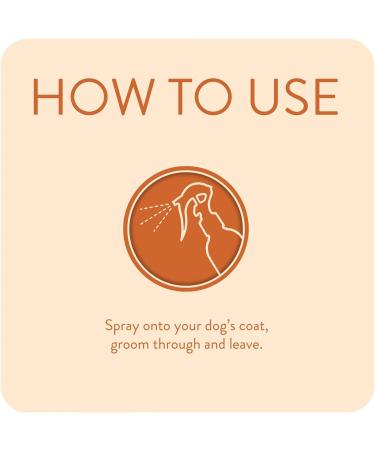 Animology Dirty Dawg Pup No-Rinse Shampoo Dog Spray 250ml - Buy Online on SooperMarket.com