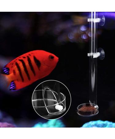 Fish Shrimp Feeder Tube and Plate Acrylic Clear Shrimp Feeding Tube Aquarium Fish Tank Feeder for Crystal Shrimp Tropical Fish(20cm) - Buy Online on SooperMarket.com