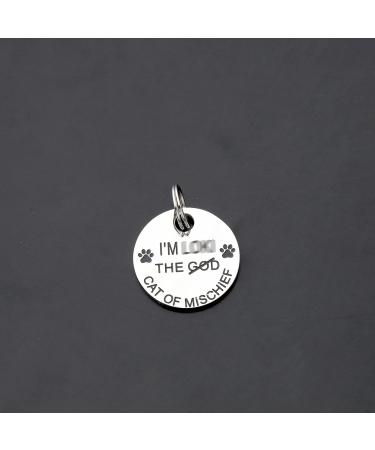 ENSIANTH Pet Collar Tags Cat of Mischief Gift Cat ID Tags Cat Owner Gift Pet ID Tags Cat Lady Gift (Cat of Mischief) - Buy Online on SooperMarket.com