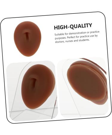 VINTORKY 1pc Silicone Human Nose Models Practice Peircing Body Navel Presentation Model Display Rack Medical - Buy Online on SooperMarket.com