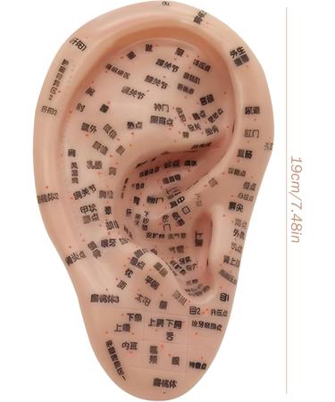 Shitoomfe Ear Seed Acupuncture Kit - Complete Soft Ear Seed Kit with 7.5 Ear Model Tweezers Probe Pen & Ear Acupuncture Guide - Perfect for Self-Care & Wellness - Buy Online on SooperMarket.com