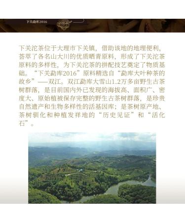 Pu-erh tea 2016 Mengku 357g Raw - Buy Online on SooperMarket.com