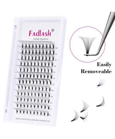 16D Russian Volume Eyelashes - D Curl 0.07mm Mix 8-14mm - Premium Bulled Eyelash Extensions (1 Pack) - Buy Online on SooperMarket.com