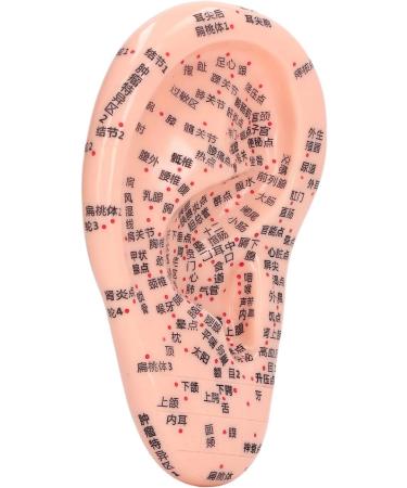 6.7 inch Silicone Ear Acupuncture Model - Ideal for Acupoint Learning & Home Care - Buy Online on SooperMarket.com