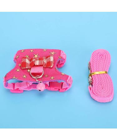 Small Animal Dishes & Leash Set for Squirrels Hamsters Ferrets & Guinea Pigs | Perfect Pet Accessories - Buy Online on SooperMarket.com