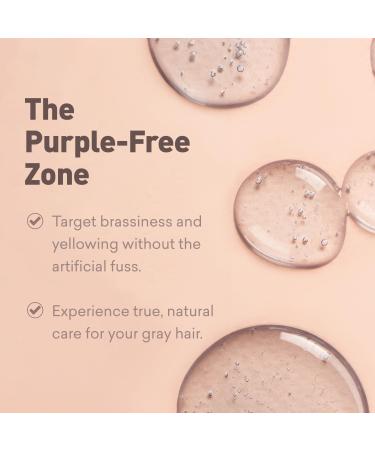 Just Nutritive Men's Gray Hair Shampoo | Sulfate-Free Brassy Tone Remover | Natural Gray Hair Treatment | 8 oz - Buy Online on SooperMarket.com
