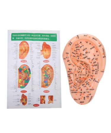 Buy Ear Massage Acupuncture Model | Safe PVC Material for Home Medicine | International Shipping - Buy Online on SooperMarket.com