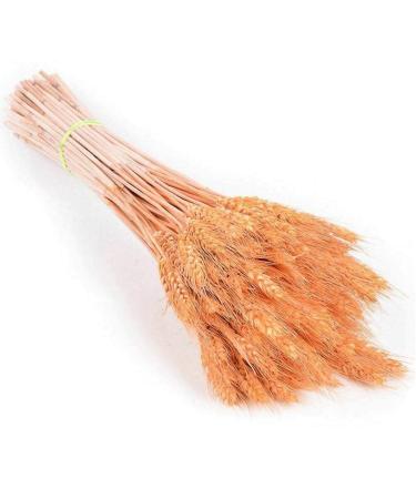 25pcs Wheat Natural Decorative Dried Flowers Barley Dried Flowers Bouquet For Wedding Decoration Room Party Craft Orange 25pcs
