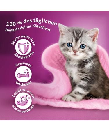 Buy Whiskas Junior & Adult 1+ Poultry Selection in Jelly - 84 & 168 Packs - International Shipping Available - Buy Online on SooperMarket.com