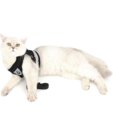 Ranphy Cat Dishes & Leash Set - Break-Proof Reflective Chest Harness for Small & Adult Cats - Soft Fabric Black Size L (Chest 44 cm) - Buy Online on SooperMarket.com