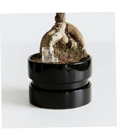 Kisangel 4pcs Pet Water Feeder Insect Water Bowl Ants Water Feeder Ants Habitat Water Feeding Plastic - Buy Online on SooperMarket.com