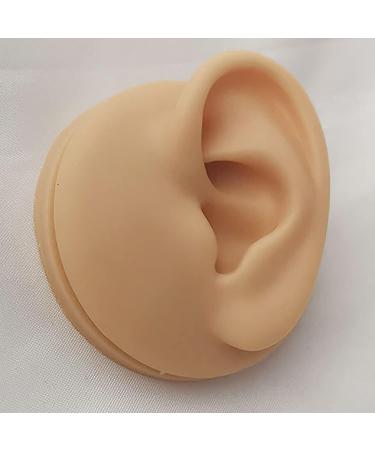 Soft Silicone Human Ear Simulation Template Jewelry Display for Earrings Suitable for Ear Lobe Drilling Exercises and Exercises - Buy Online on SooperMarket.com