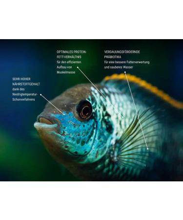 Tetra Pro Algae Multi-Crisps - Premium Algae Fish Feed | 10L Bucket for Enhanced Fish Health & Resistance - Buy Online on SooperMarket.com