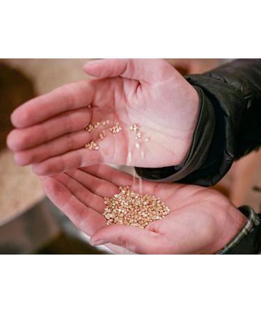 Organic Buckwheat Germ Powder (1 kg) - Gluten Free Vegan Home Grown from Germany | Value Pack - Buy Online on SooperMarket.com